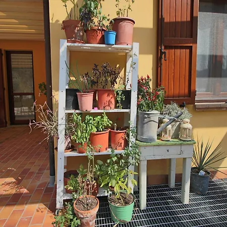With Swimming Pool And Garden With Mediterranean Plants Bettona