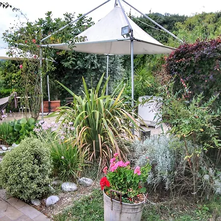 With Swimming Pool And Garden With Mediterranean Plants