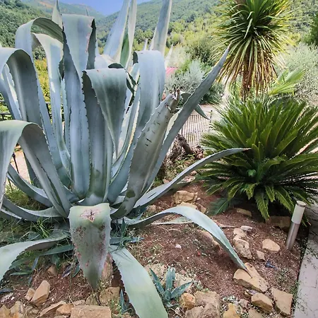 Nyaraló With Swimming Pool And Garden With Mediterranean Plants Bettona