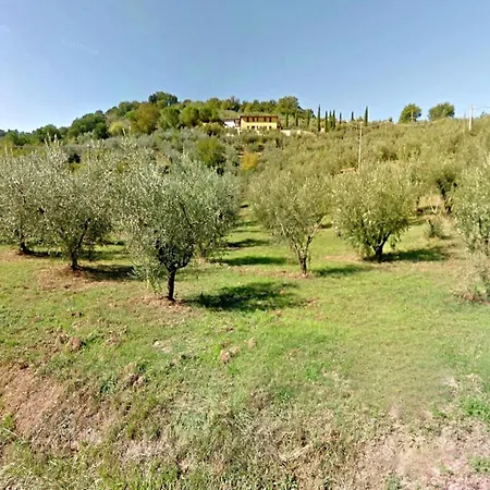 With Swimming Pool And Garden With Mediterranean Plants *