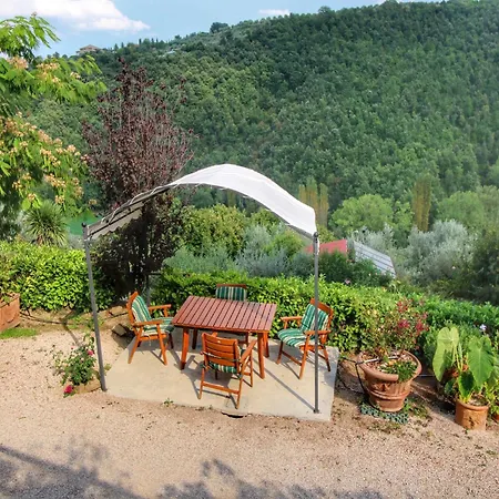 With Swimming Pool And Garden With Mediterranean Plants