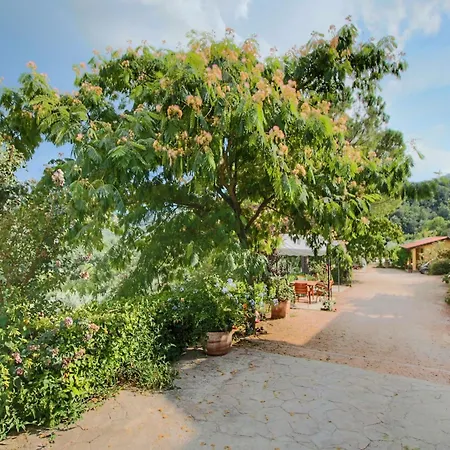 With Swimming Pool And Garden With Mediterranean Plants *