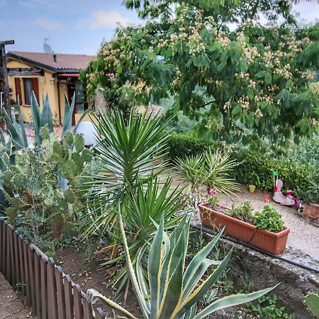 With Swimming Pool And Garden With Mediterranean Plants Ferienhaus *