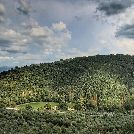 With Swimming Pool And Garden With Mediterranean Plants Сasa de vacaciones Bettona