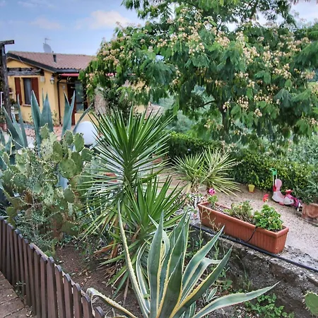 Сasa de vacaciones With Swimming Pool And Garden With Mediterranean Plants *